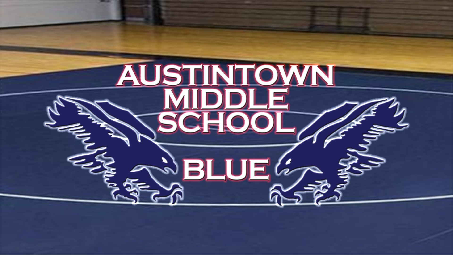 AMS Wrestling Blue 4
